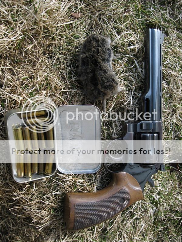 .38 Snake Shot Loads 24hourcampfire